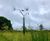 Dandelion Duo nature-themed stainless steel kinetic sculpture 2