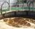 Activated sludge treatment solutions 1