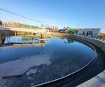 Bridge scraping systems for settlement and flotation tanks
