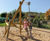 Yuki Climbing Structure  2