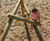 Yuki Climbing Structure  4