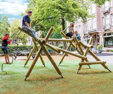 Nerea Climbing Structure