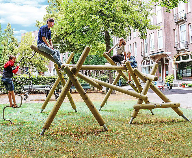 Nerea Climbing Structure