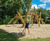 Climbo Kaya Climbing Structure  1