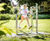Leg Trainer  2