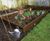 100% Recycled Plastic Raised Beds 0