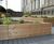 Grenadier - raised timber planters 2