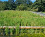 ARM and United Utilities mitigate CSOs and stormwater at Chorley - on this page