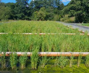 ARM and United Utilities mitigate CSOs and stormwater at Chorley
