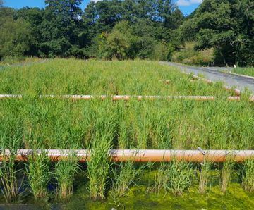 ARM and United Utilities mitigate CSOs and stormwater at Chorley