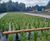 ARM and United Utilities mitigate CSOs and stormwater at Chorley 1