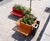 Benkert One Pot Park - planter 3