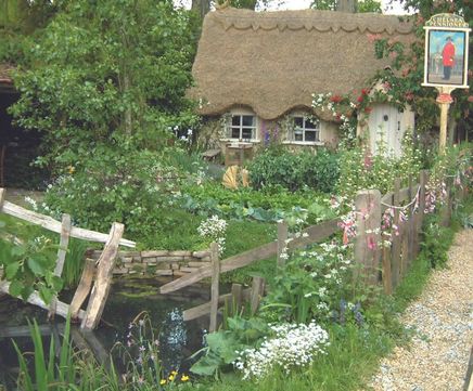 Wildflower plugs for cottage gardens
