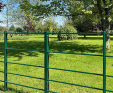 Steel estate railings