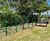 Steel estate railings 2