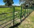 Steel estate railings 3