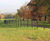 Steel estate railings 4