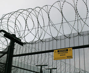 Barbed tape and wire wall / fence / gate topping