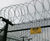 Barbed tape and wire wall / fence / gate topping 0