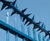 Rota Spike® rotating fencing topping 0