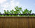 Rota Spike® rotating fencing topping 5