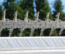 Cobra Spike Rotary security fence / wall topping