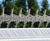 Cobra Spike Rotary security fence / wall topping 0