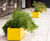 FERN freestanding recycled steel planter 0