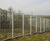 Barbican® Barbed Top - security fencing system 6