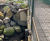 Bridge foundation repairs - Barry Burn, Carnoustie 3