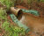 Muir Farming tackles wet weather erosion head on with SoluForm 1