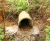 Muir Farming tackles wet weather erosion head on with SoluForm 4