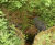 Muir Farming tackles wet weather erosion head on with SoluForm 7