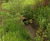 Muir Farming tackles wet weather erosion head on with SoluForm 11