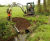 Muir Farming tackles wet weather erosion head on with SoluForm 12