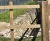 Retaining wall solution for modern landmark development - Reading 2