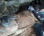 Scour repair using SoluForm's concrete bagwork 1