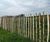 Cleft chestnut fencing 2