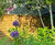 Woven fence panels 8