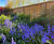 Woven fence panels 11