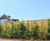 Woven fence panels 12