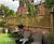 Lattice trellis timber panels  10