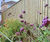 Traditional featherboard timber fencing panels 3