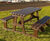 100% Recycled Plastic Pass Through Picnic Table 3