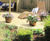 Jacksons standard timber decking boards 0