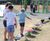 Hadleigh Park – Farnsfield, Nottinghamshire 8