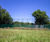 Ball-stop netting  1