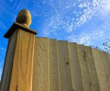 Featherboard Convex - fencing panels