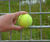 Euroguard® Rebound - sports fencing 4