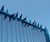 358 Securi-Mesh® - high-security fencing system 4